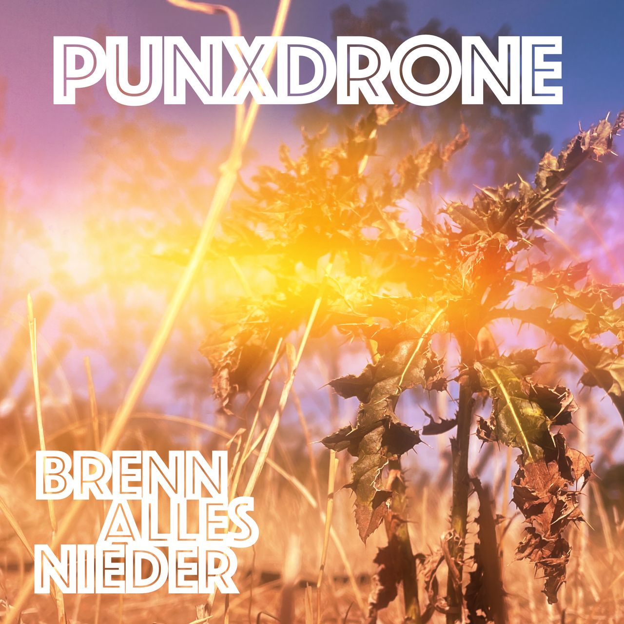 Brenn alles nieder Cover