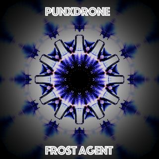 Frost Agent Cover